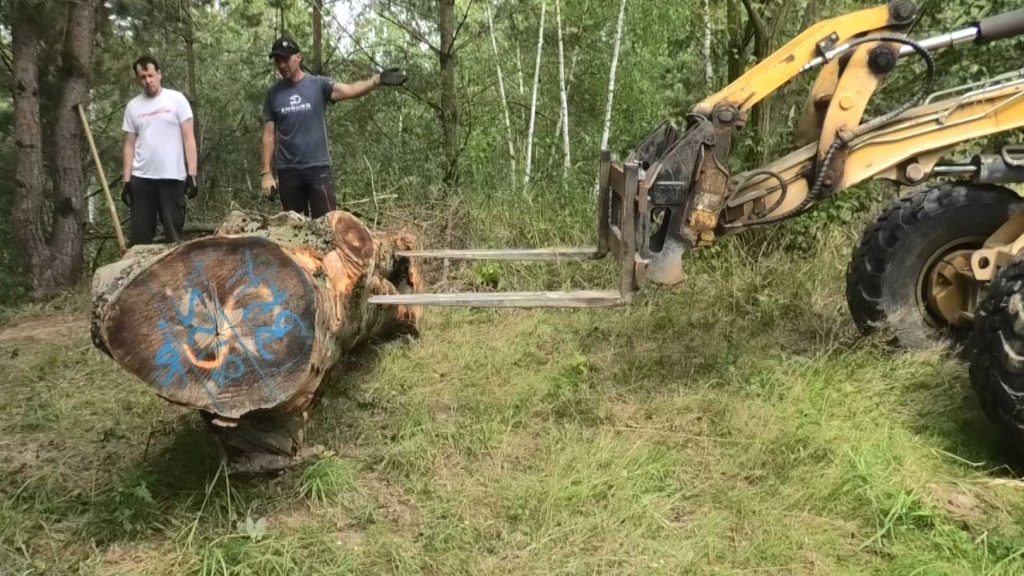 Sektionsbau in Meltewitz 2025